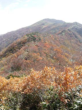 白毛門