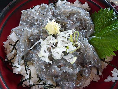 070819生シラス丼