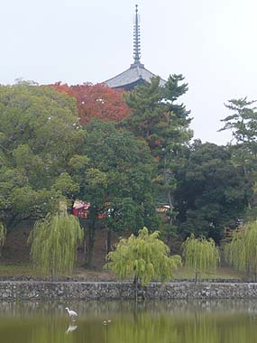 071111興福寺