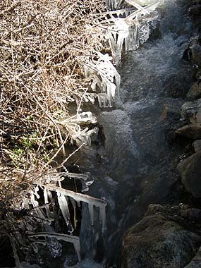 080427朝の氷
