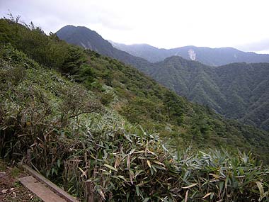080927犬越路