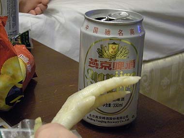 100101鳥の脚