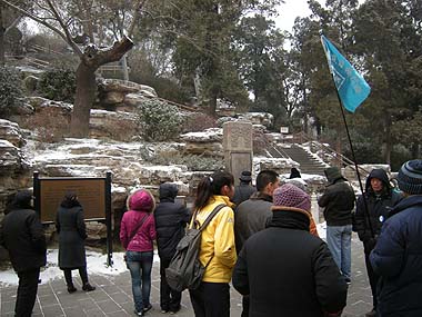 100102北京景山公園えんじゅの木