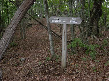 100919大ブナ尾根登山道