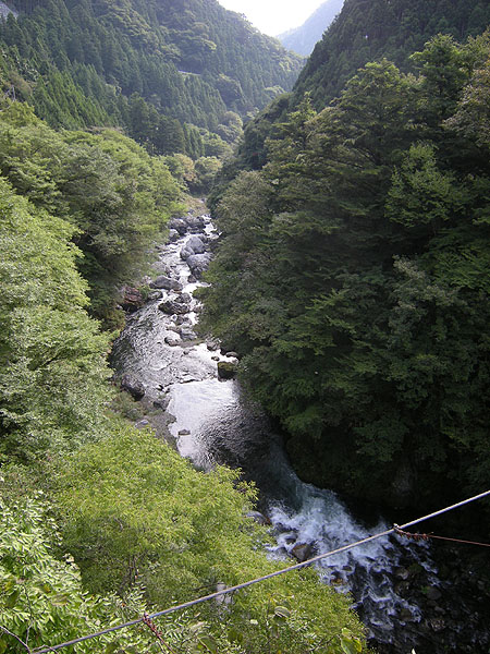 100919シダクラ橋から多摩川本流