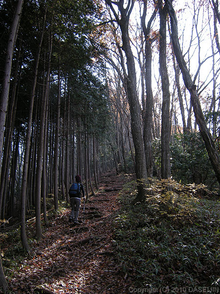 101128御岳山・大塚山への尾根道
