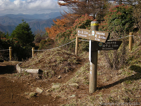 101121姫次から東海自然歩道を離れる