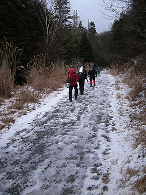 101218赤岳鉱泉へ林道を歩く