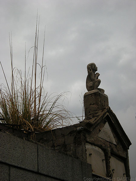 110108ブエノスアイレス・レコレータ墓地草の生えた墓