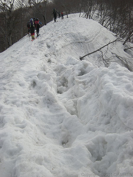 110417守門岳・稜線の雪われ