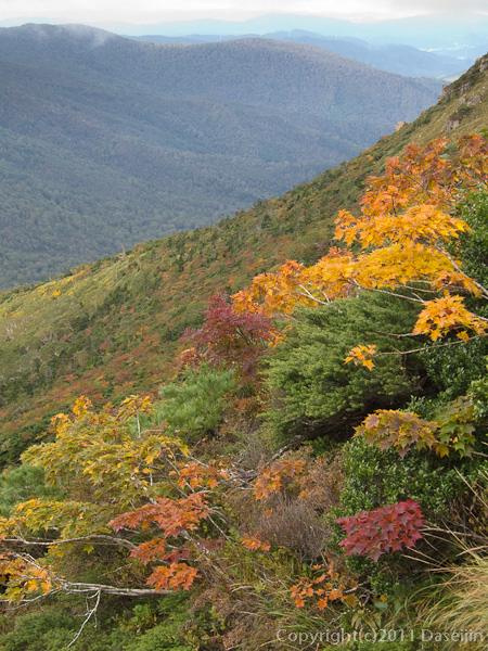 111002早池峰山・どんどん色づく紅葉