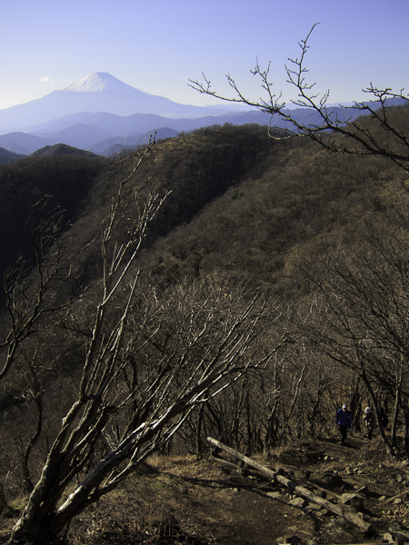 111204丹沢・鍋割山への尾根道