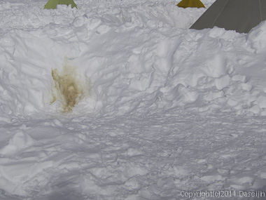 111127立山スキー・ここはトイレじゃないぞ!