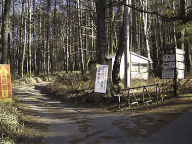 111227八ヶ岳・美濃戸口には雪がない