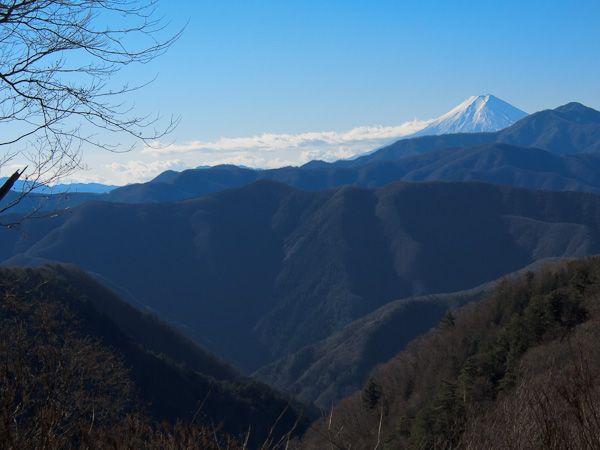 120107雲取山・登り尾根七ツ石小屋下からの富士山