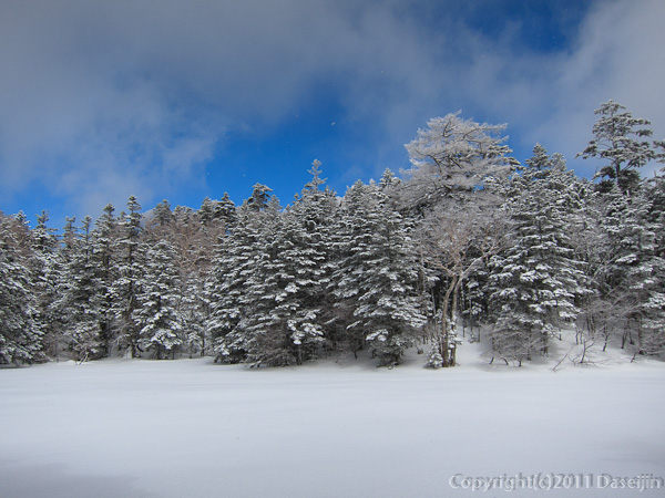 120325日光白根山・七色平の雪原