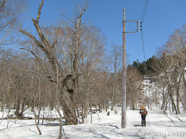 120428平ヶ岳・電線に導かれ山ノ鼻へ