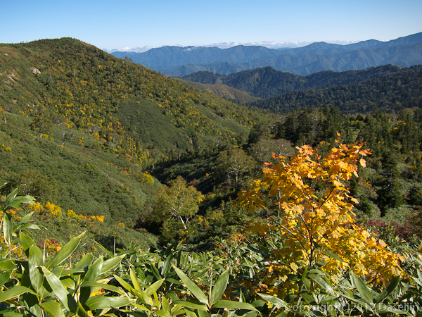 121008恋ノ岐・恋ノ岐川源流